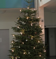 Weihnachtsstimmung in der Leopold-Ullstein-Schule. - Leopold-Ullstein-Schule